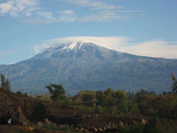 1923679_22027440433_8696_n