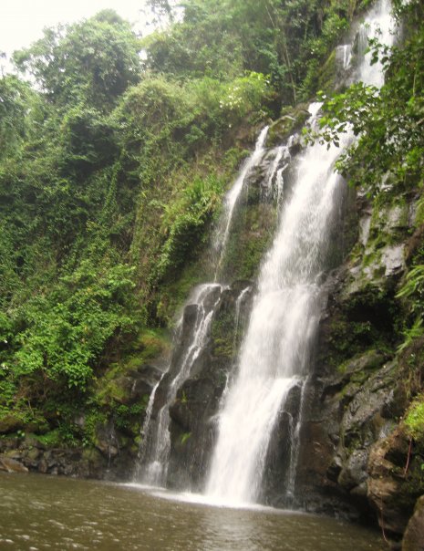 1923679_22027450433_411_n