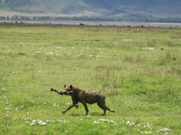 1934097_22026880433_9407_n