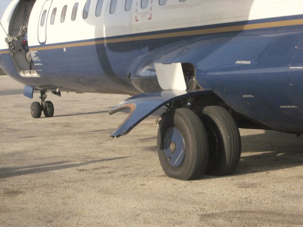 1923679_22079450433_3609_n