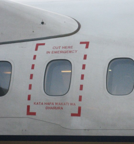 1923679_22079455433_4676_n