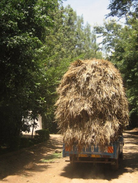 1923679_22080200433_3238_n