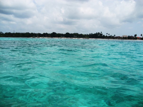 1934096_22079140433_5353_n