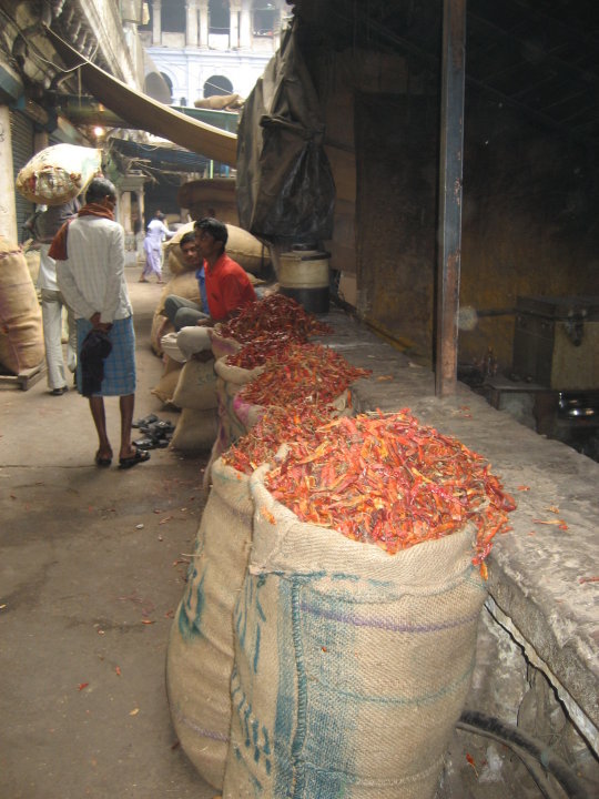 24245_10150124289770434_6324500_n