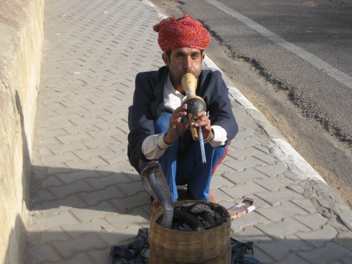 24245_10150124290070434_6214465_n