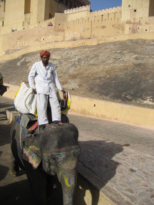 24245_10150124290085434_3724130_n