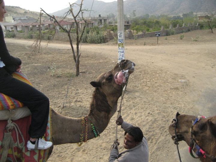 24245_10150124290415434_3517196_n