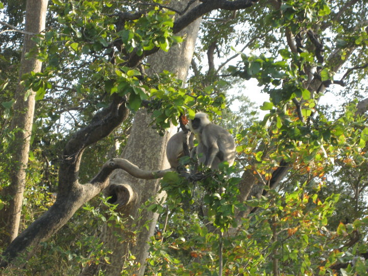 24245_10150124302605434_7946990_n