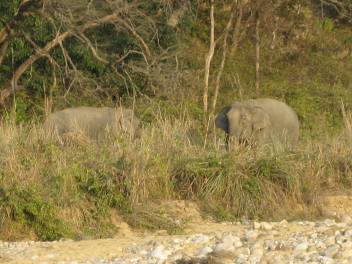 24245_10150124302680434_8252426_n