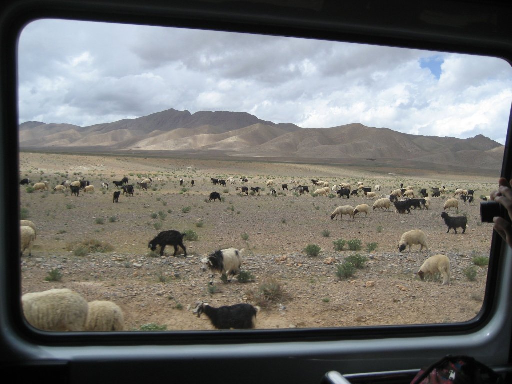 242473_10150652914355434_2831862_o