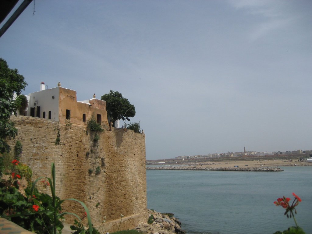 257617_10150652848605434_4586719_o