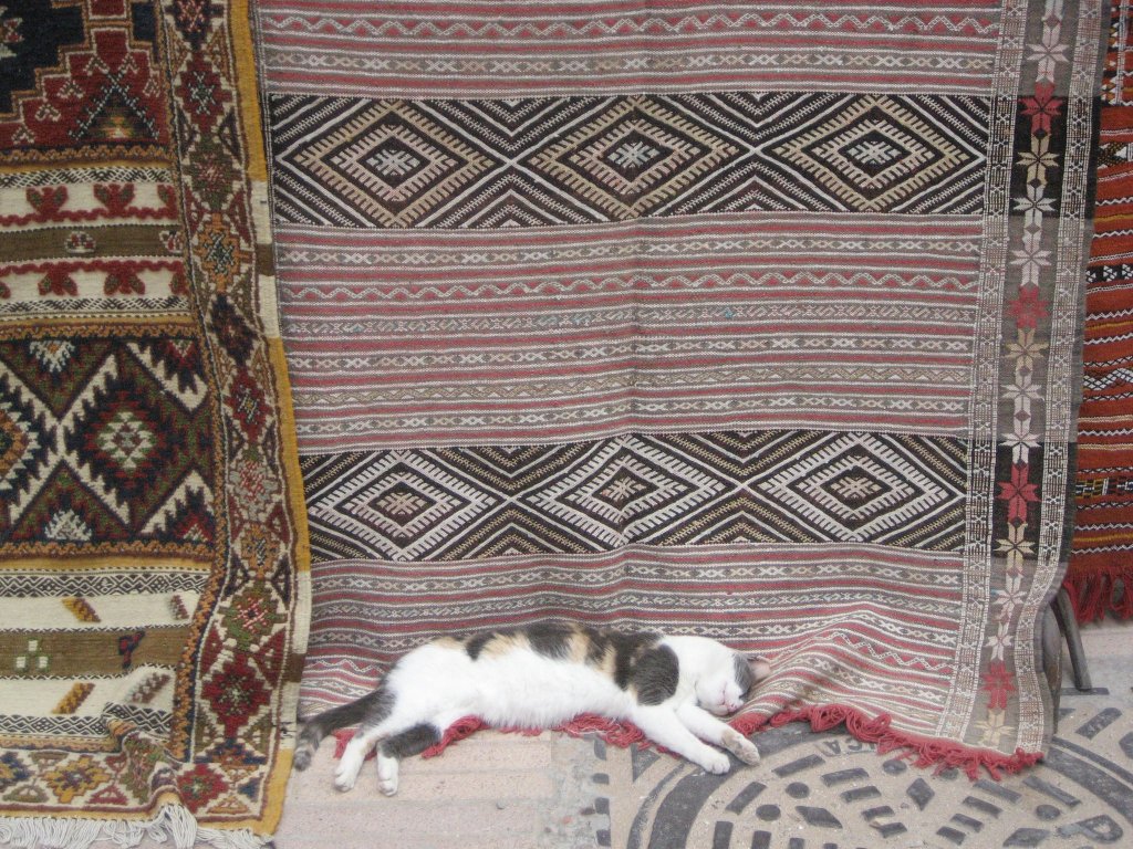 258233_10150654715830434_5257011_o