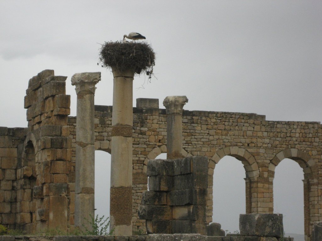 259248_10150652872825434_5813395_o