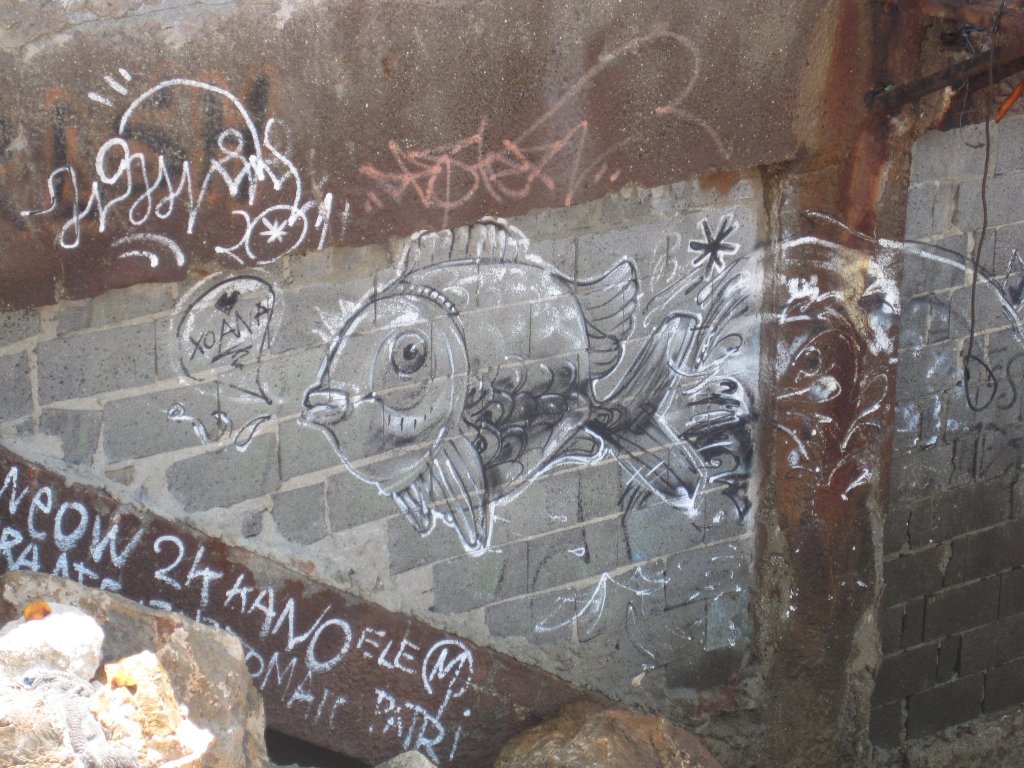 259669_10150656167220434_179801_o