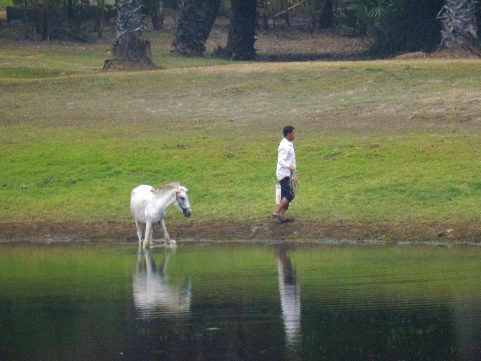 422743_10151367201630434_1656983872_n