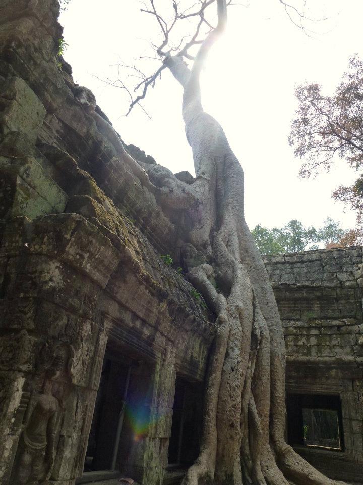 430209_10151367230345434_609902405_n