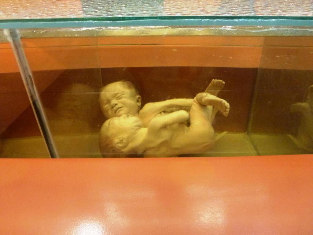 414105_10151367441730434_2043335725_o