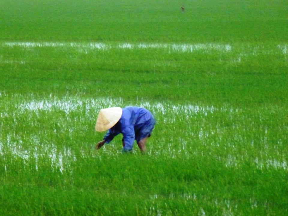 418137_10151367748390434_2078602295_n