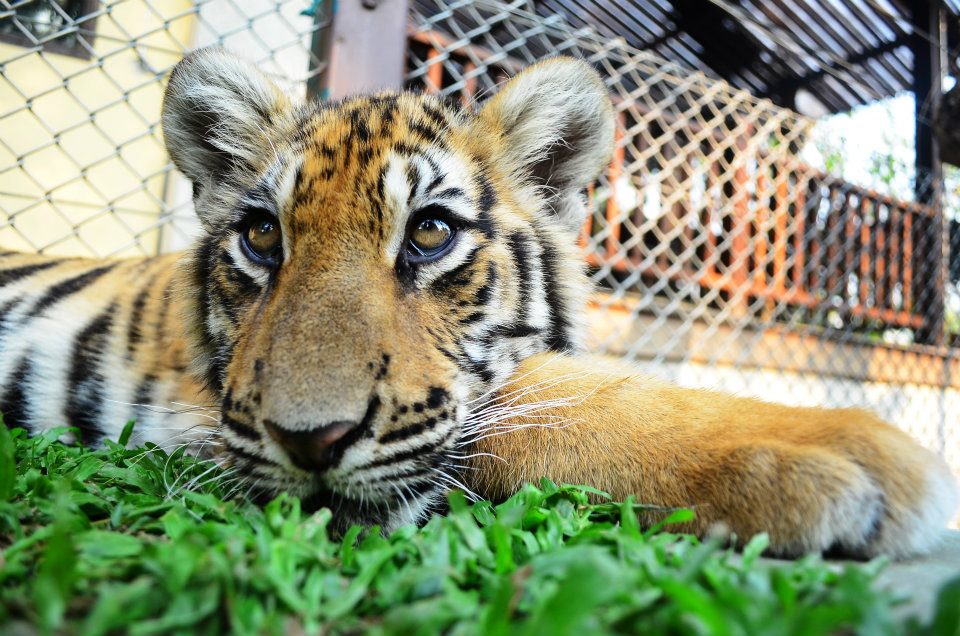 424034_10151370791695434_405888680_n