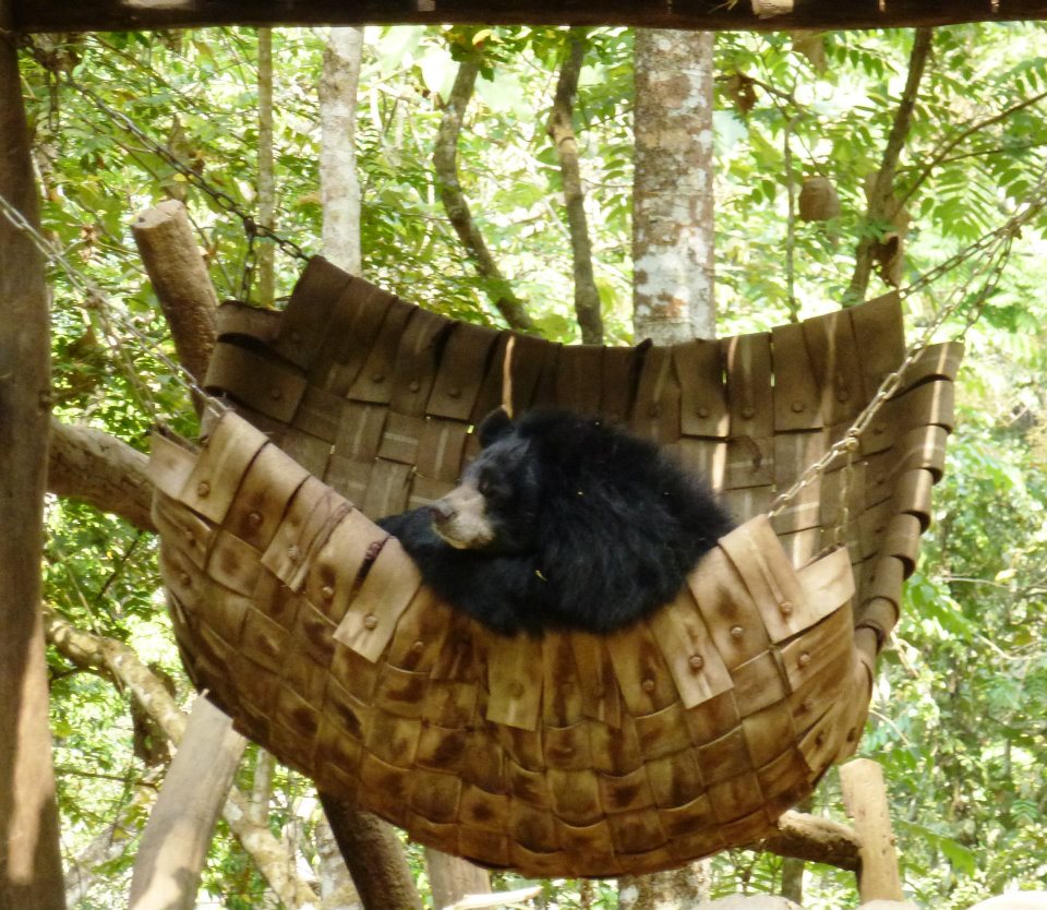 430377_10151370629925434_815992226_n