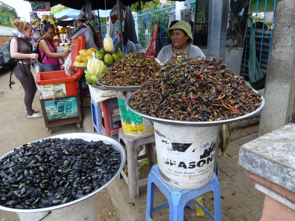 430441_10151367281130434_485448996_n