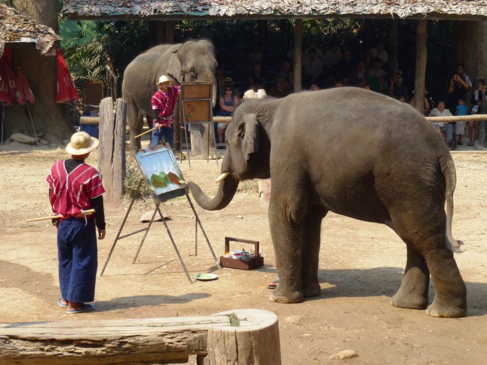 431116_10151370737470434_516496771_n