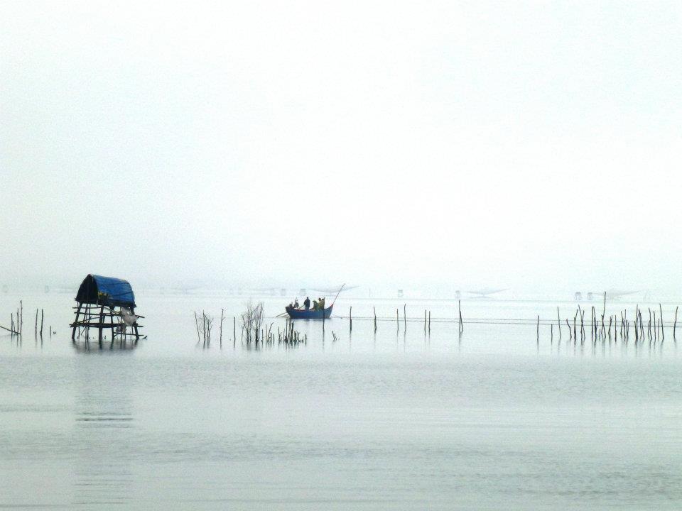 64774_10151367657620434_263961834_n