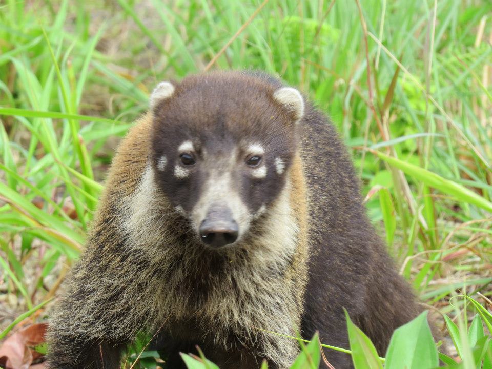 544064_10152627355520434_143469398_n