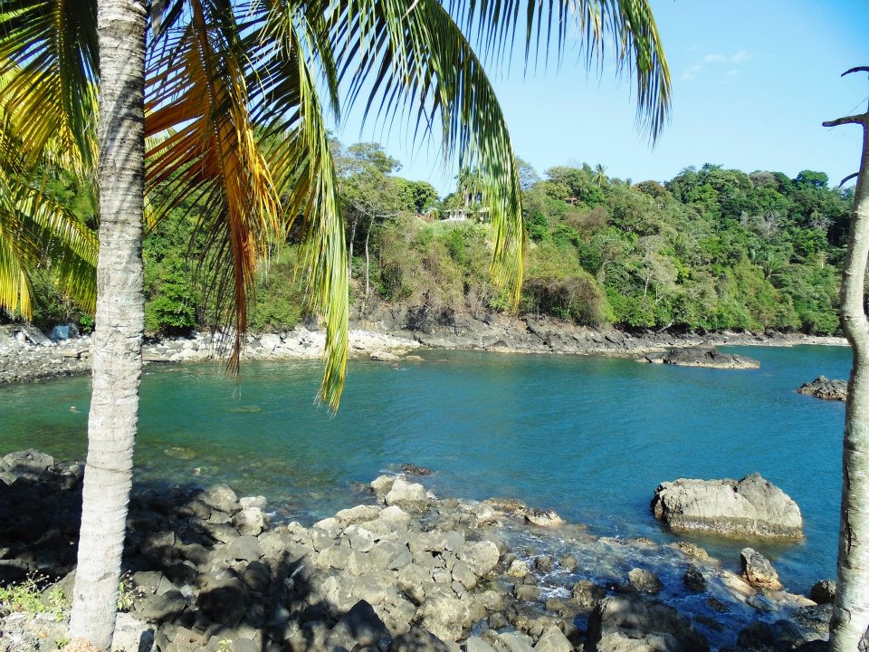 269395_10152649295805434_543187291_n