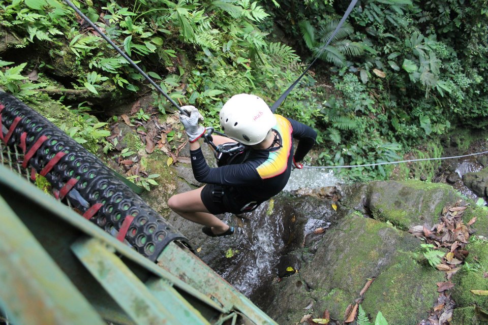 295663_10152627293760434_1906557769_n