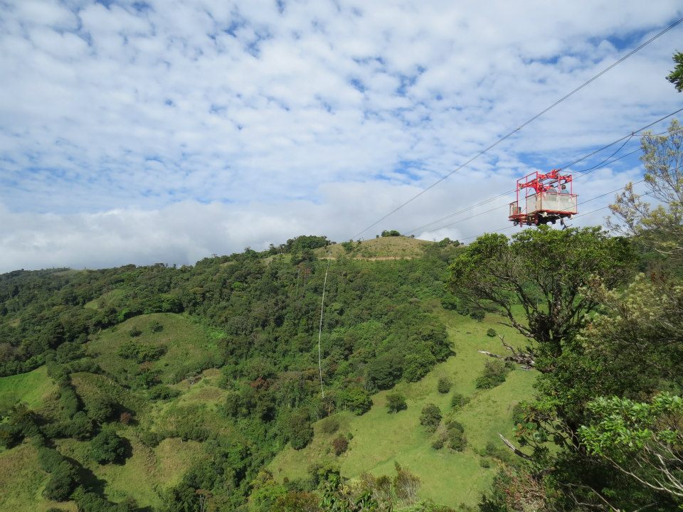 299847_10152627429355434_1026619054_n