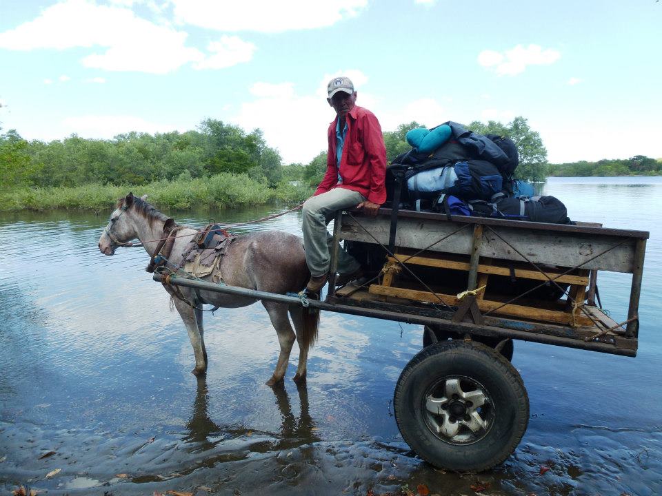 299878_10152636633920434_157343631_n