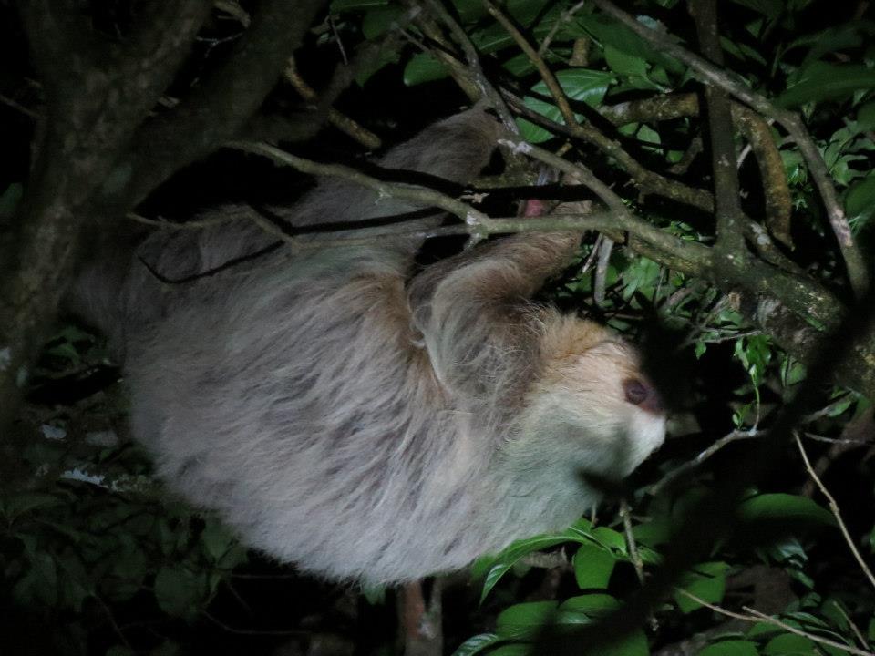 31460_10152627347325434_1439413052_n