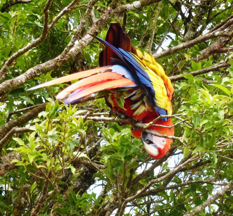 417623_10152627446175434_1218008027_n