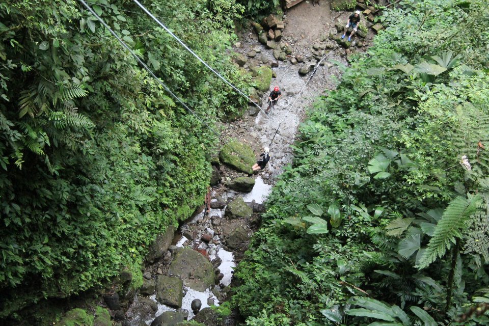 429_10152627298320434_331994685_n