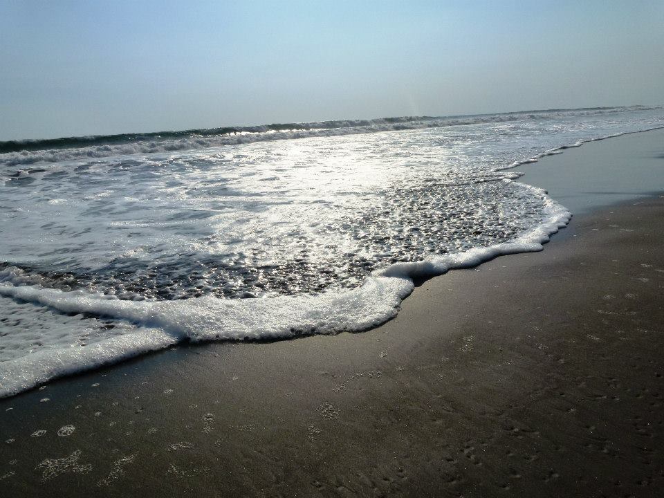 484290_10152639827655434_1550120156_n