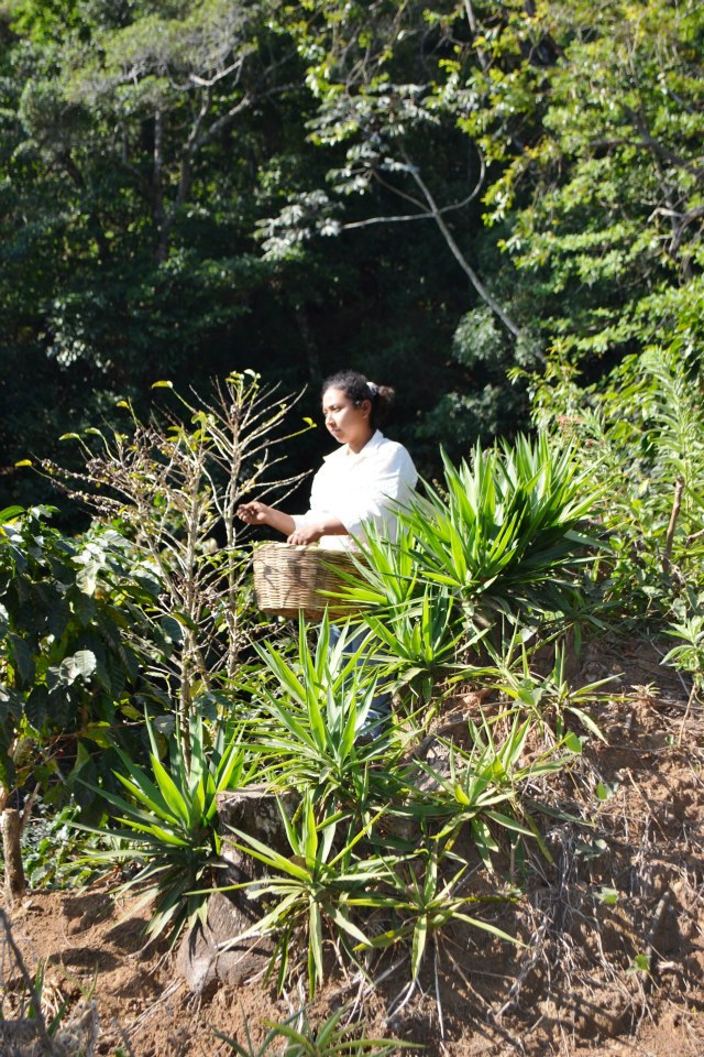 540941_10152639742325434_218073826_n