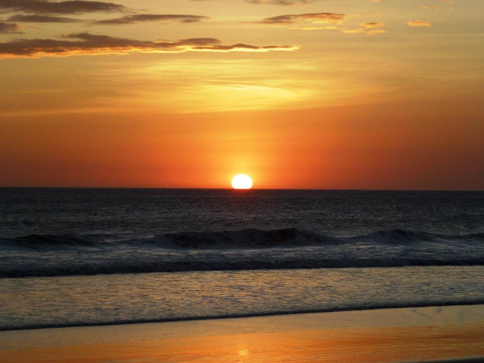 733962_10152636680250434_1890661132_n