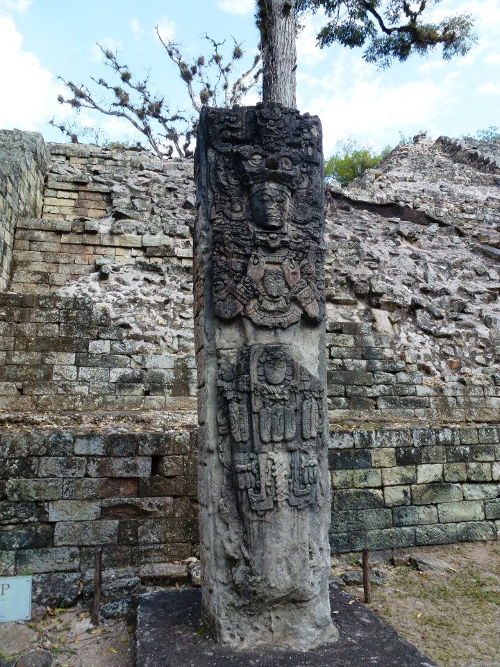 734095_10152645701525434_691687898_n