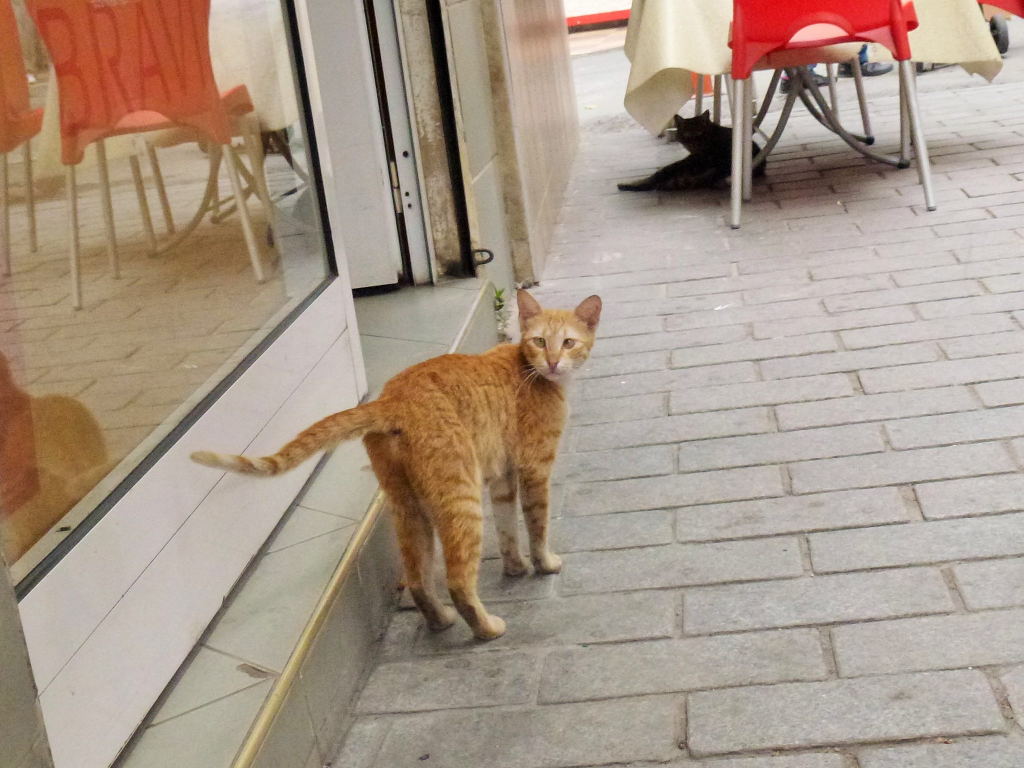 10505157_10154372626925434_8097908833891075049_o