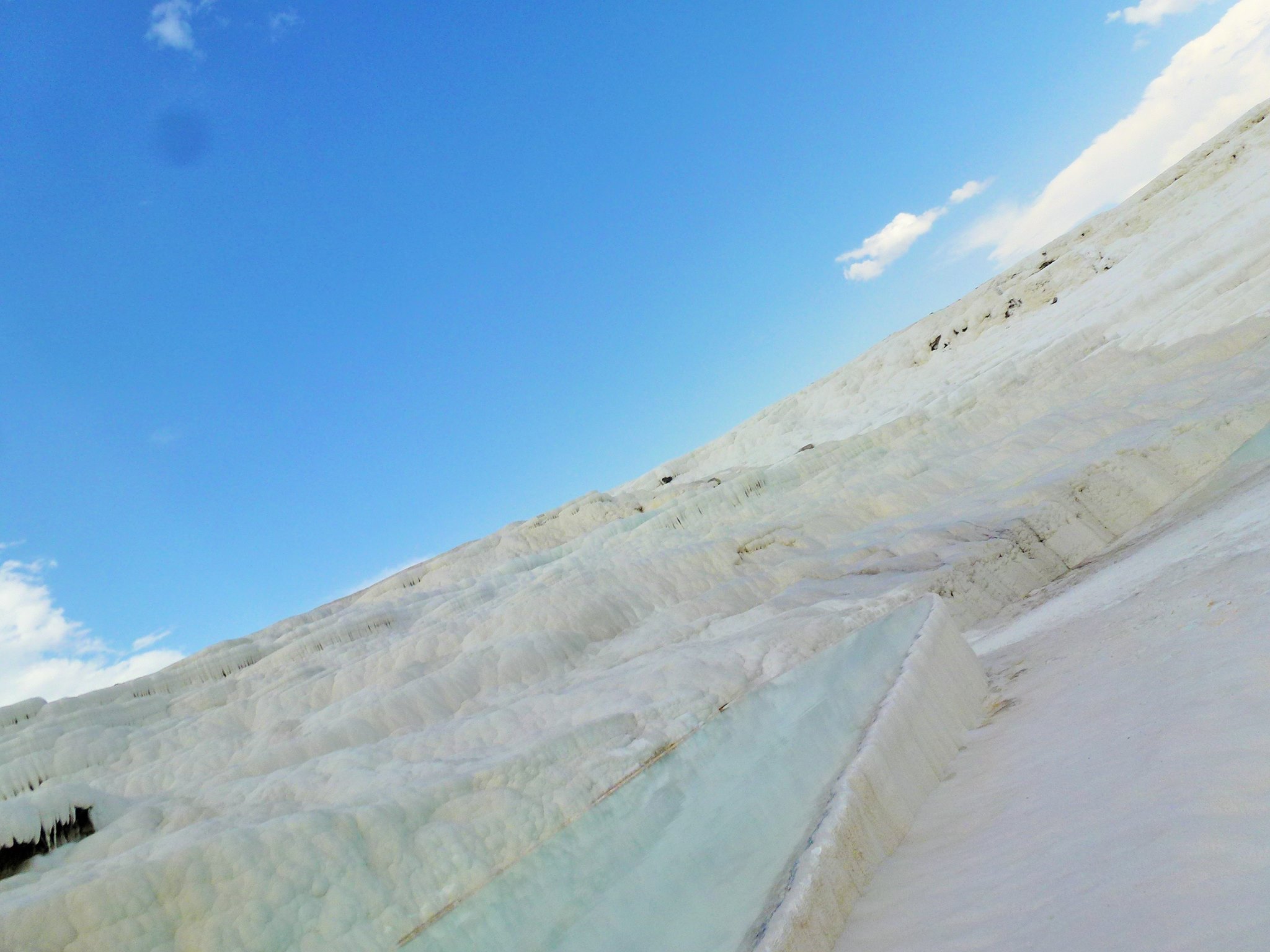 10470305_10154372506655434_2201813704496224078_o