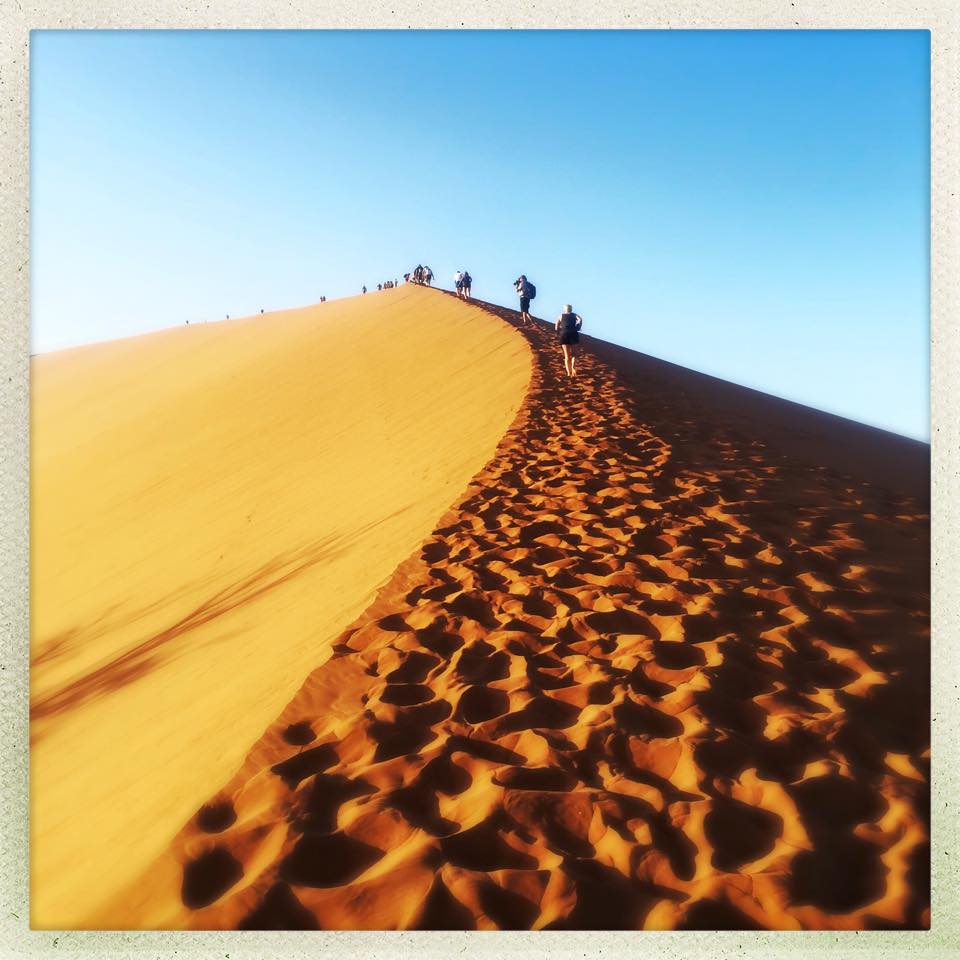 12742062_10153409685168575_5957484381409563284_n