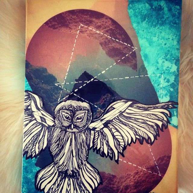 12965070_1669175499998261_490044630_n