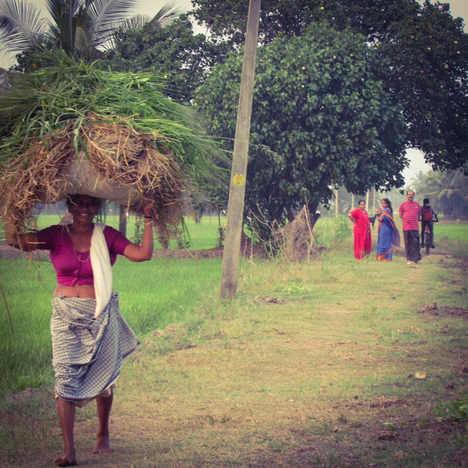 17424742_10158551629085434_2874594999215479074_n