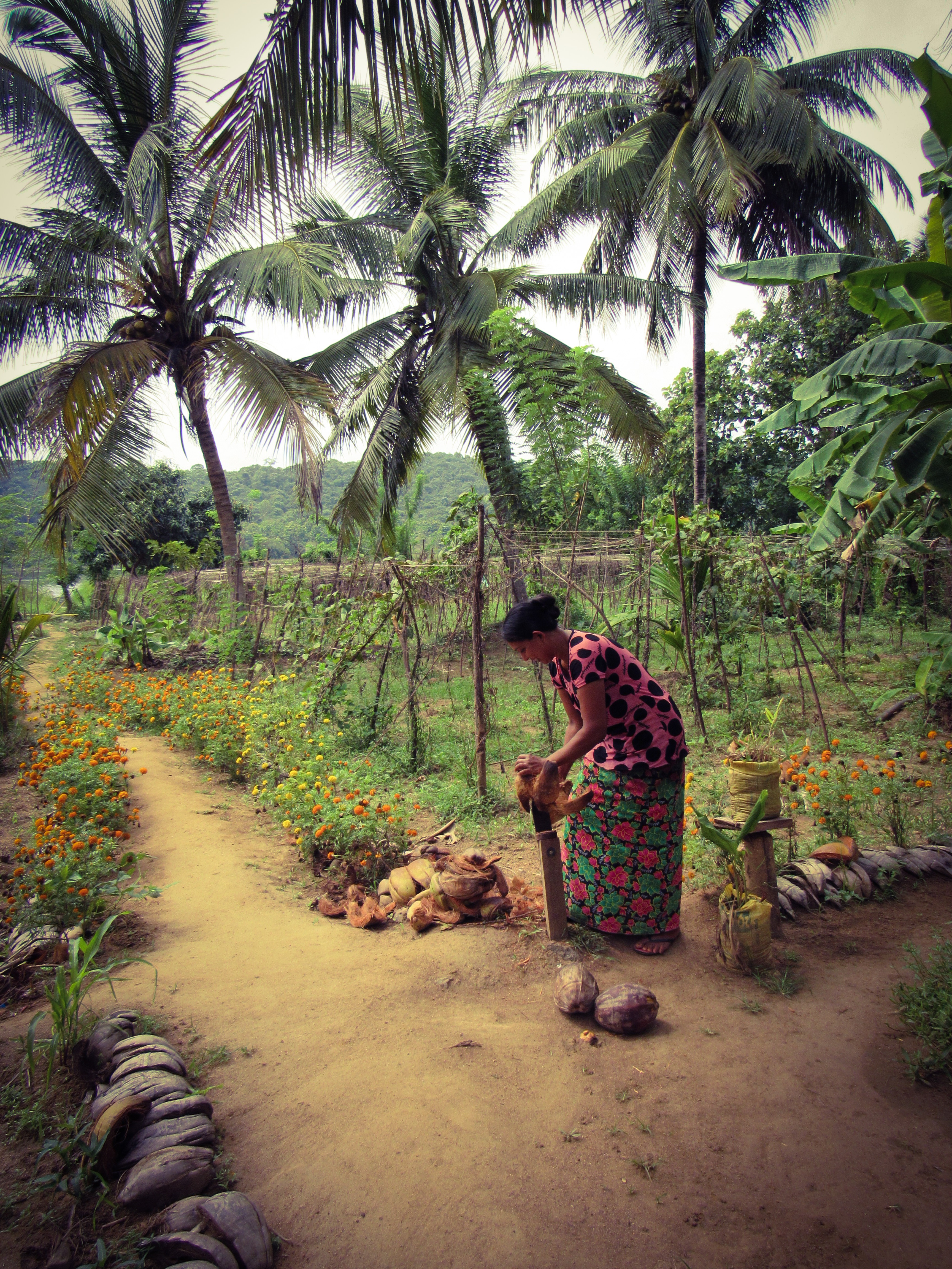 06BE2C96-D891-4C4F-9977-11F87F517976