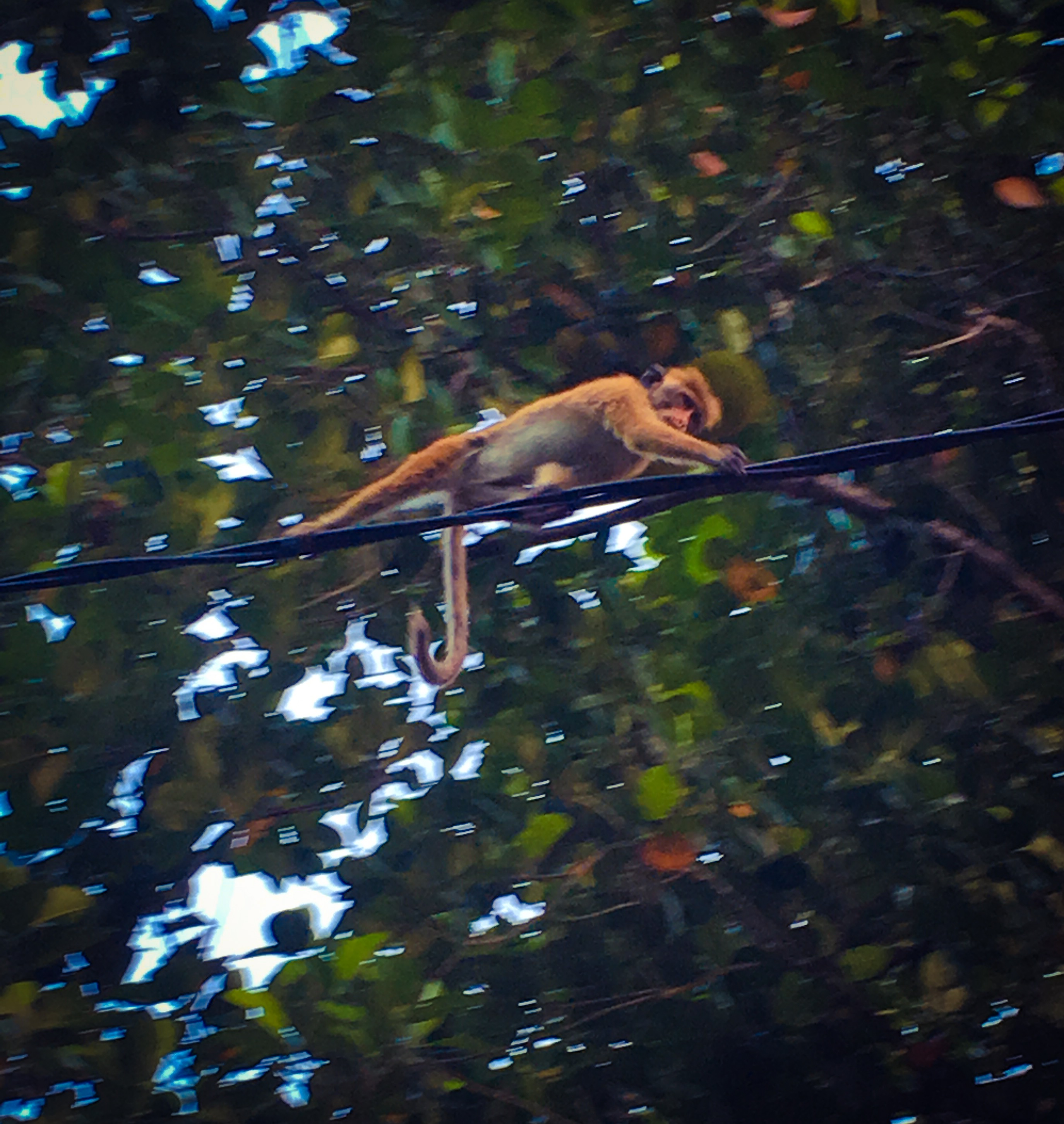 75ED1AF8-EE1B-4D10-8B72-2B30735AB89F