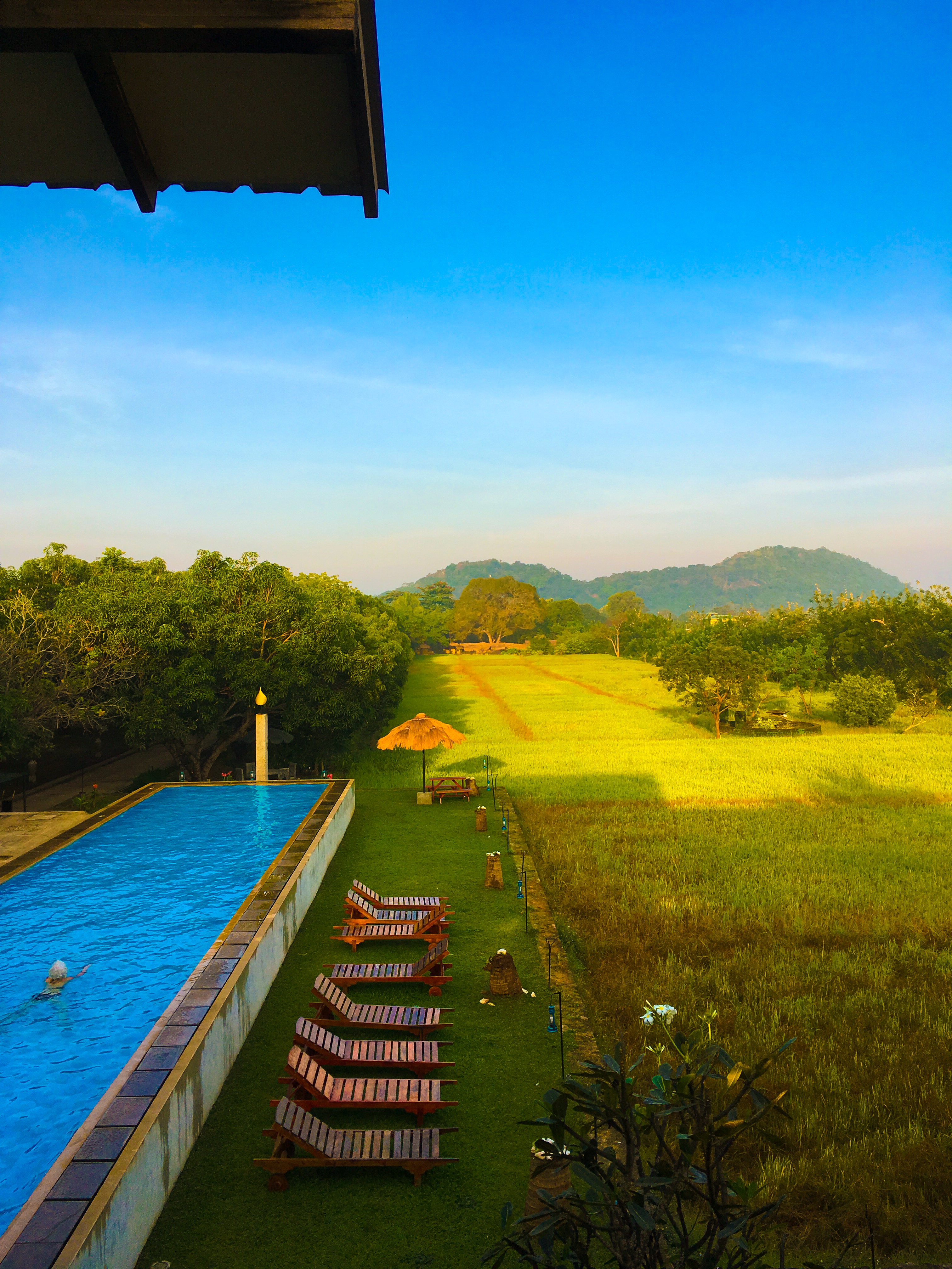 CDAF2668-4549-4D3C-BE8C-0DB54A65EC5B