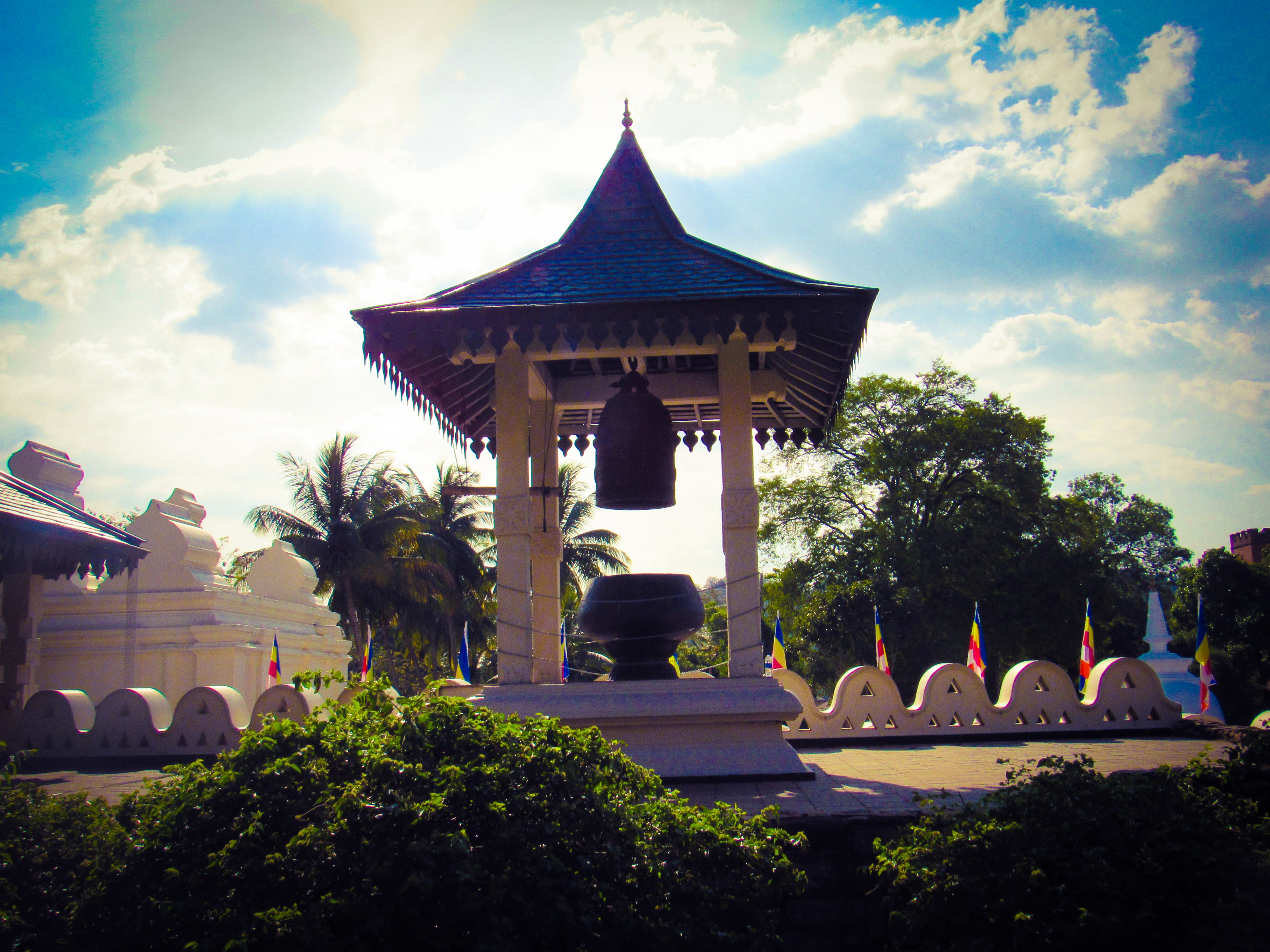 0110A63A-DD6D-46DD-8B7A-4FF1D92C1C45