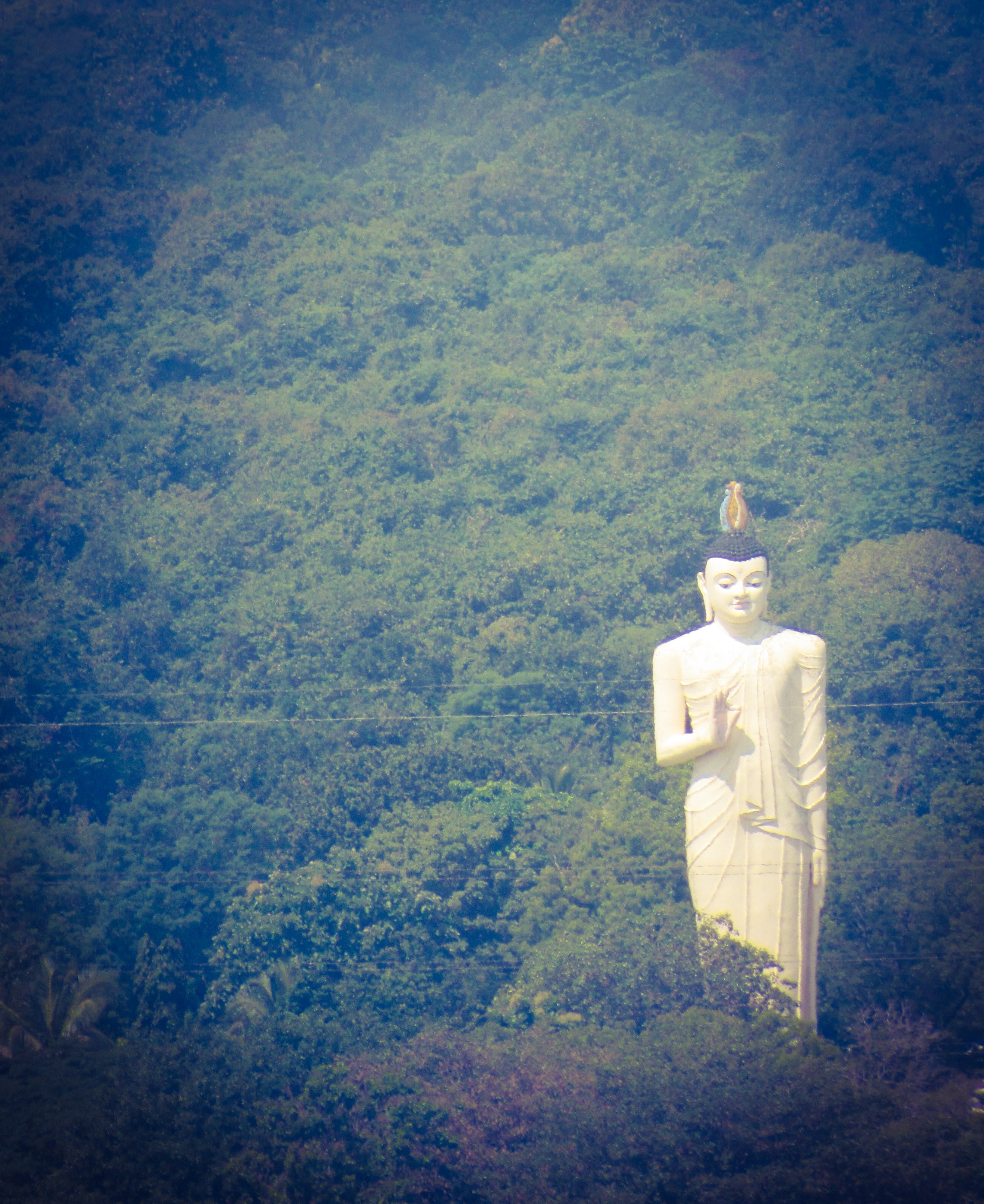 1CCCFB8B-2F8C-4E74-84B3-61DB72240F2C