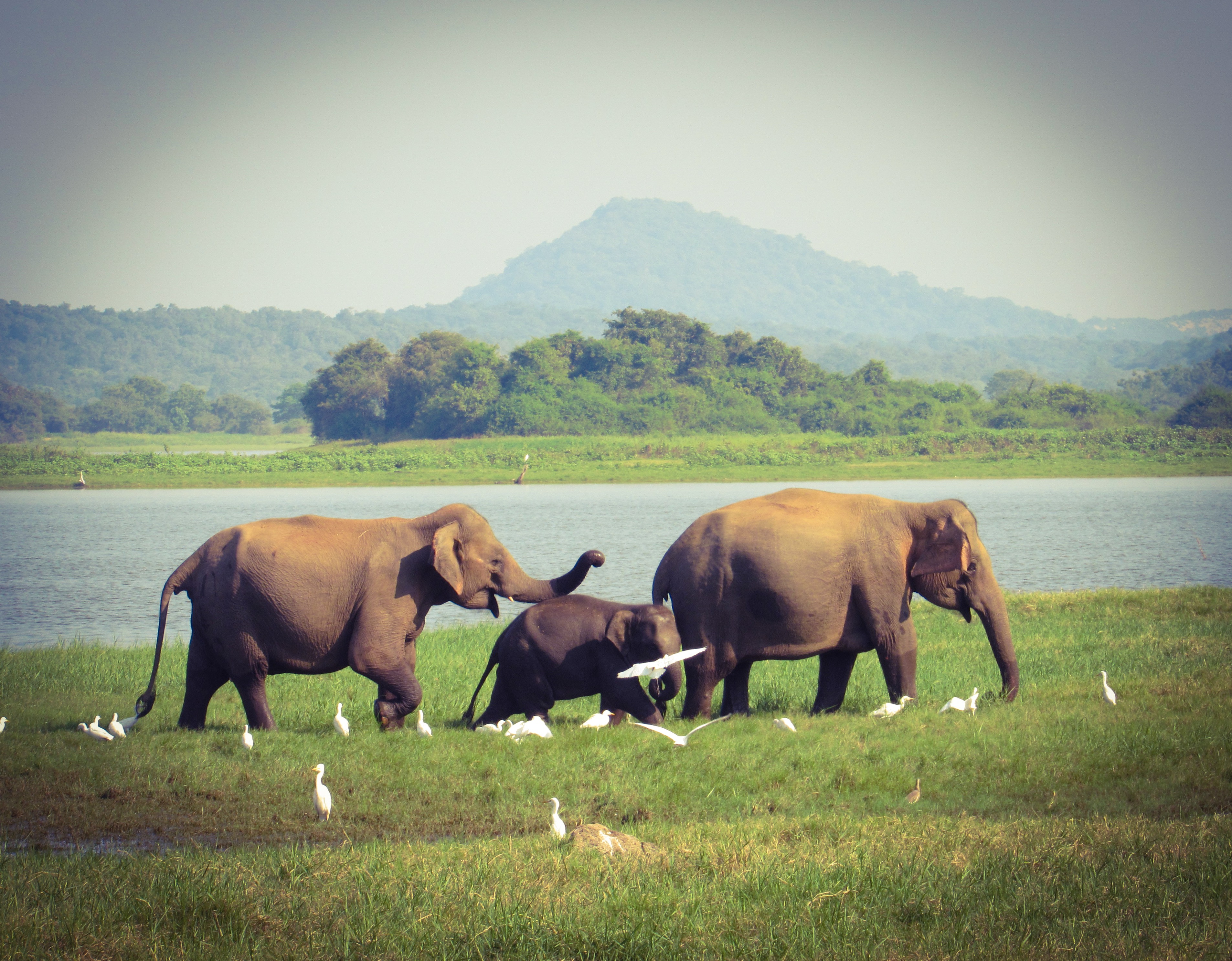 436841FA-997C-417A-AEFA-8511A5A71C35